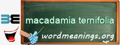 WordMeaning blackboard for macadamia ternifolia